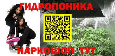 дмт Можайск