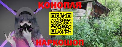 дмт Можайск