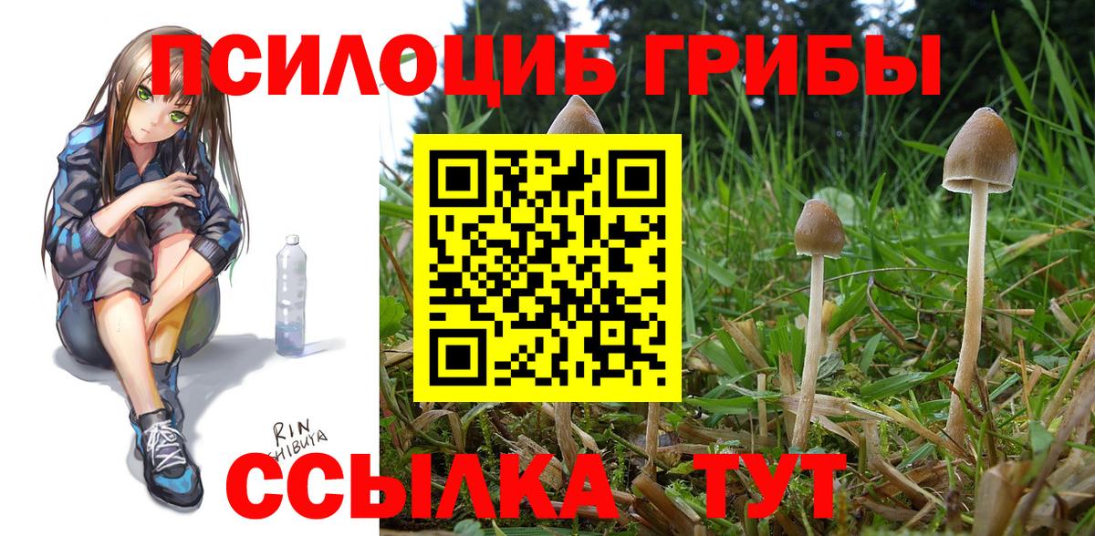 Псилоцибиновые грибы MAGIC MUSHROOMS  Вход с VPN  Сокол 