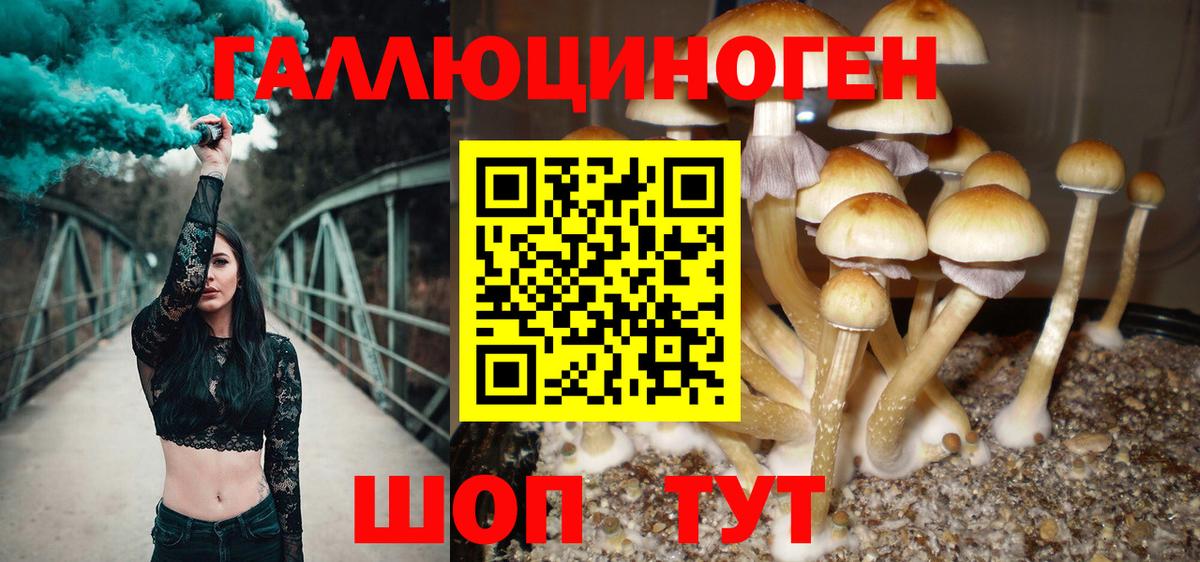 Псилоцибиновые грибы прущие грибы Сокол